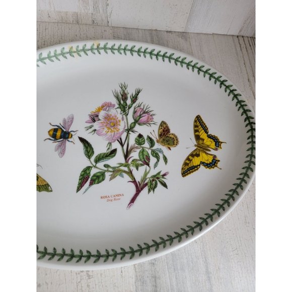 Portmeirion Botanic Gardens Dog rose 13" platter - Picture 3 of 6